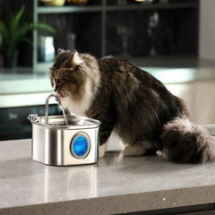 Fontanella per Gatti in Acciaio Inox – 3,2L, Automatica e Ultra Silenziosa con Filtri